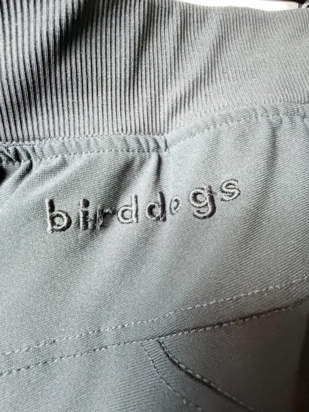 Birddogs bird dog